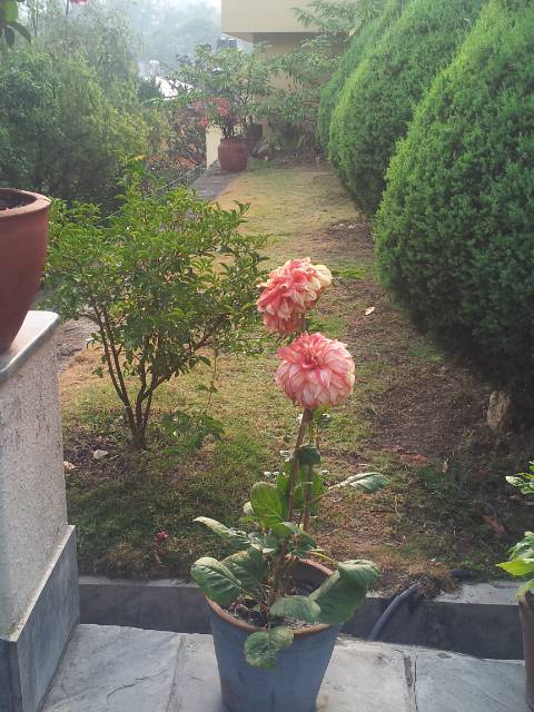 IMG-20151215-WA0002